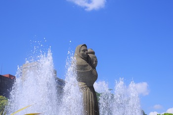 IMGP3412