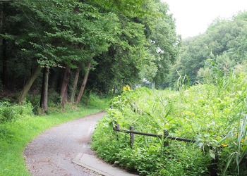 IMGP5980