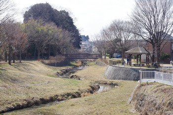 IMGP3264