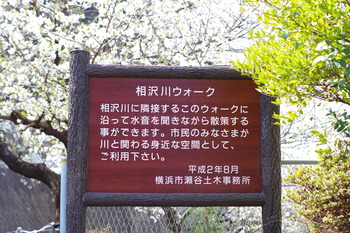 IMGP3334