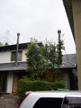 20090203