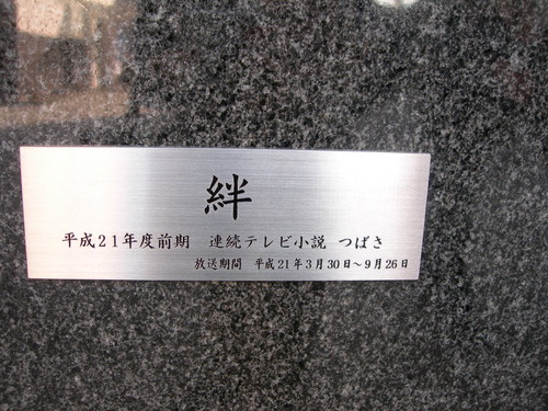 DSCN6418