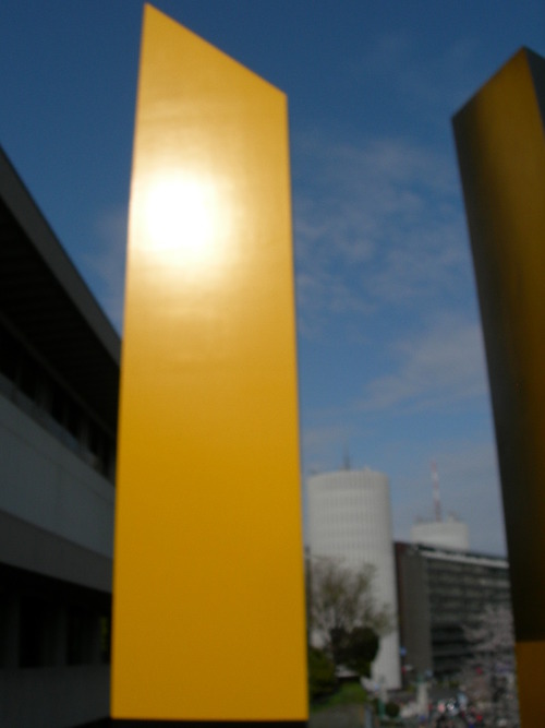 DSCN7803