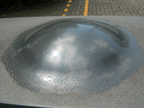 DSCN5192