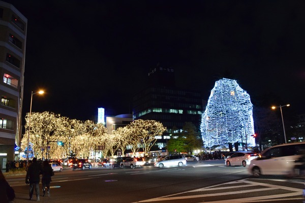 DSC_8011
