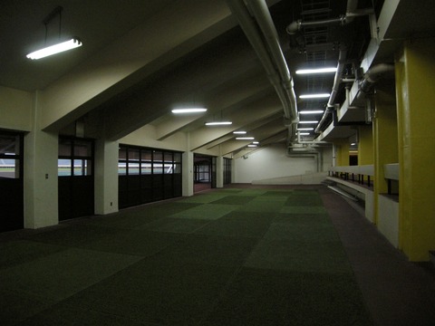 DSCN8093