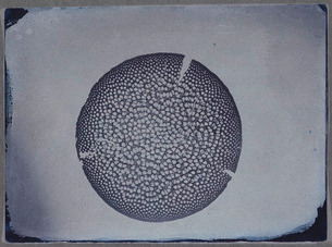 SC1488_1937-4154