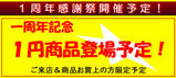 1¼þǯµÇ°¥¥ã¥ó¥Ú¡¼¥ó´ë²èÃæ