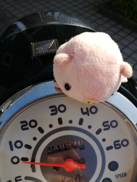 IMG_20190504_155306_20190510020026