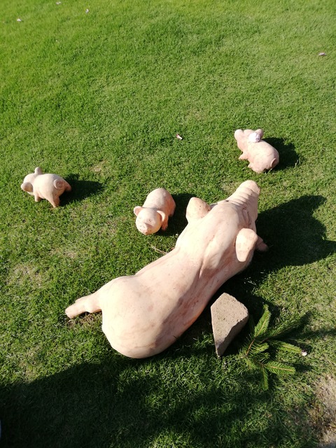 IMG_20190504_160352_20190505103658