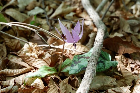 DSCF7509-L