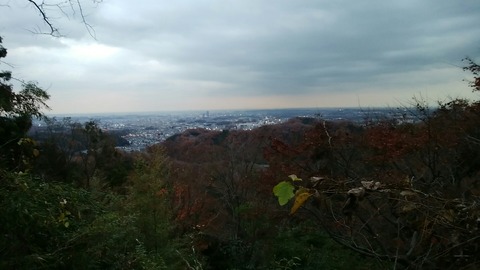 pic_1544254054017