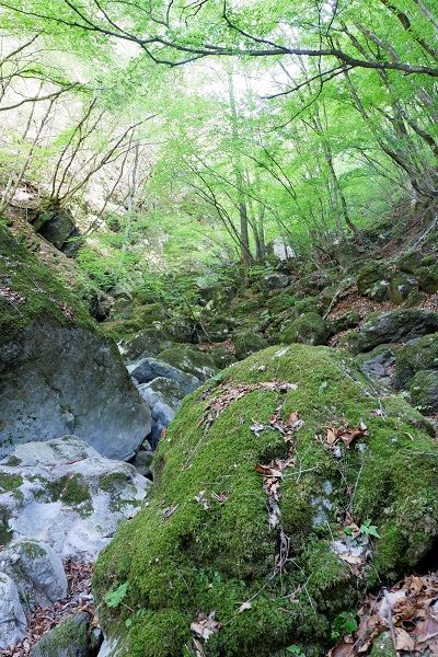 DSCF7669-L