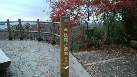 pic_1544254026899