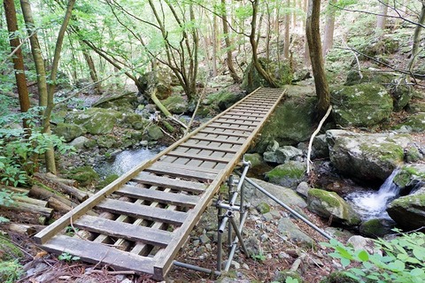 DSCF7737-L