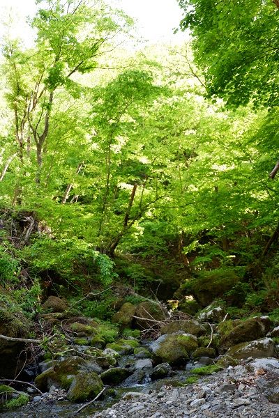 DSCF7685-L