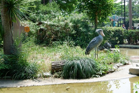 DSCF7808-L