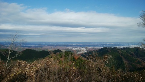 pic_1544243217825