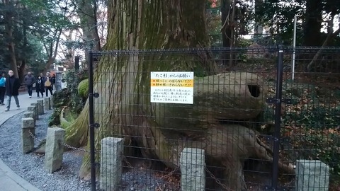 pic_1544252815228