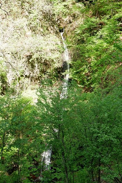 DSCF7646-L