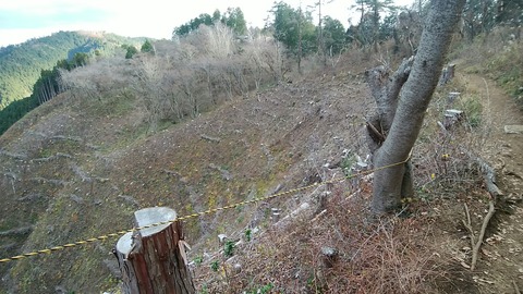 pic_1544248256870