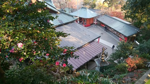 pic_1544251730141