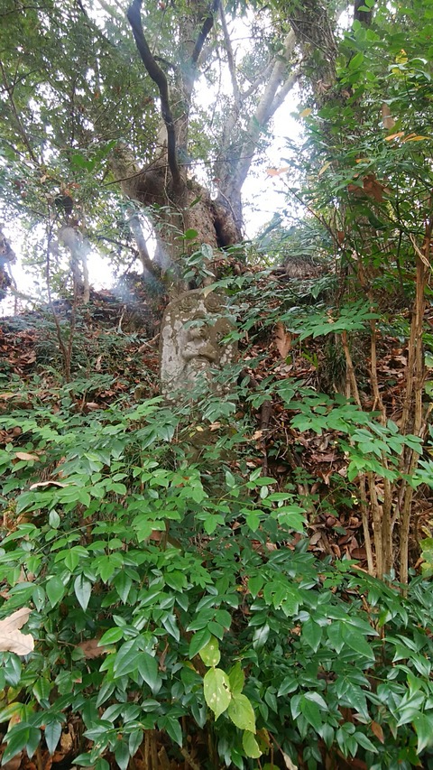 pic_1544227046068