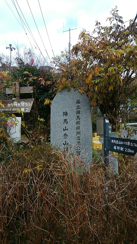 pic_1544226976473