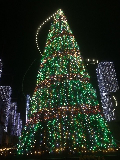 hirakatapark-illumination_171125_i