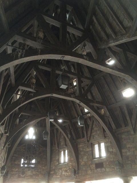 the_wizarding_world_of_harry_potter_1