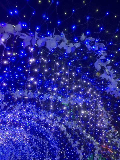 hirakatapark-illumination_171125_f