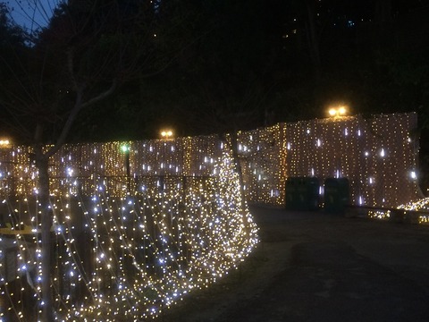 hirakatapark-illumination_171125_b