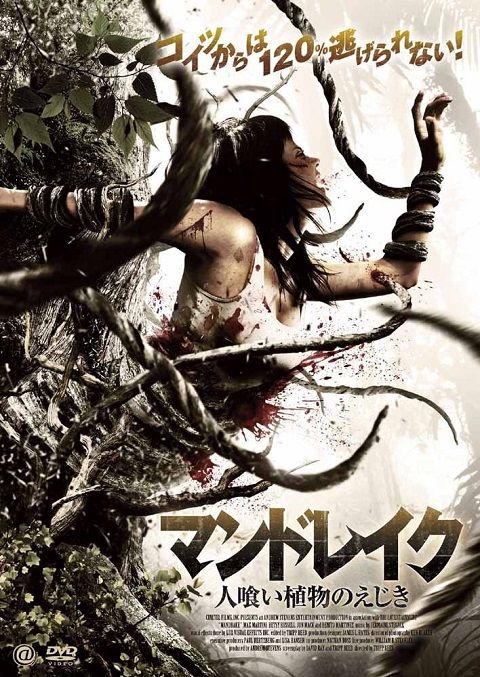 mandrake-2010