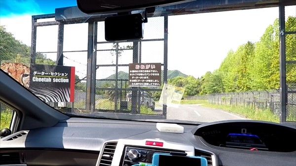 チーター入り口_R