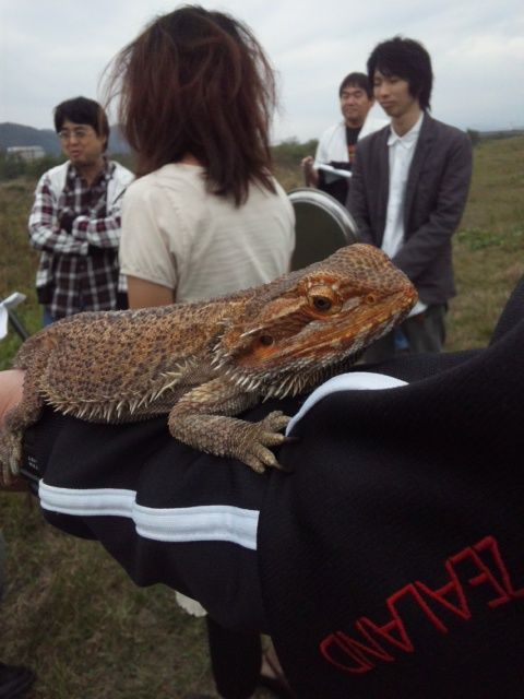 78d0fd72.jpg