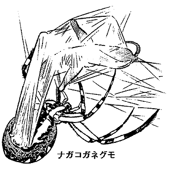 p1221