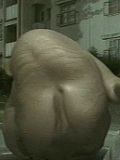 ぬっぺふほふ