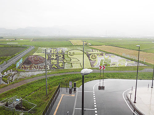 6月15日に来て以来となるずーしーほっきー田んぼアートを観に来ました。