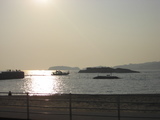 日間賀島