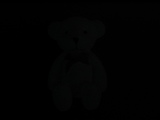 くま2