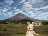 富士山