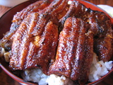 うなぎ1