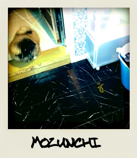 mozu4
