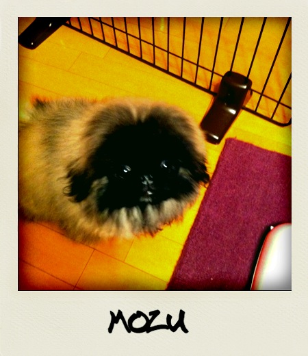 mozu2_