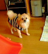 4924577d.jpg