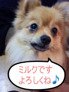 BlogPaint