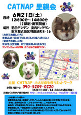 11回