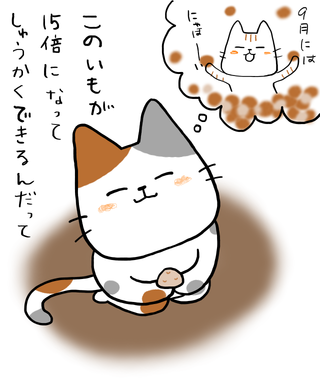 130524