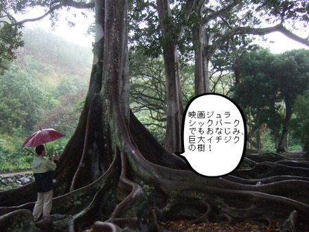 BlogPaint
