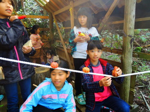 DSCN3515